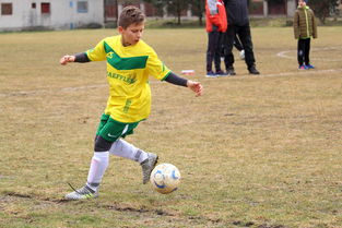 星空体育下载网址-中超冠军梦碎后，蓉城要在亚洲赛场重塑信心，中甲成都蓉城今天比赛结果